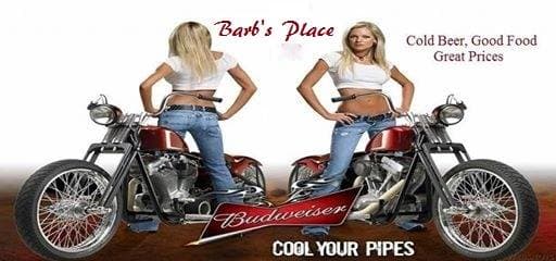 Barb's Place cover